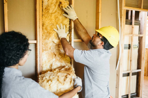 Best Local Insulation Services  in Brodheadsville, PA