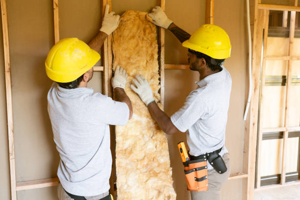 Best Insulation Contractors for Homes  in Brodheadsville, PA